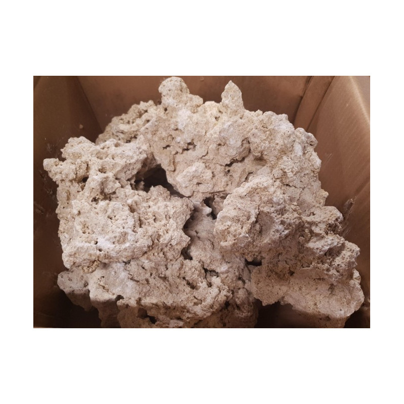 INDONESIAN BASE ROCK