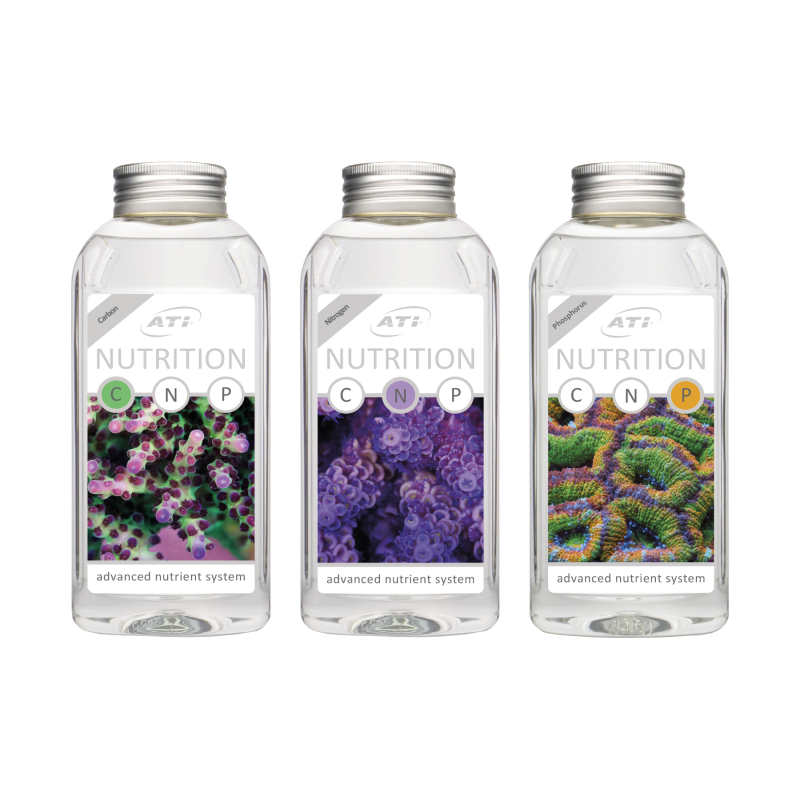 ATI NUTRITION C