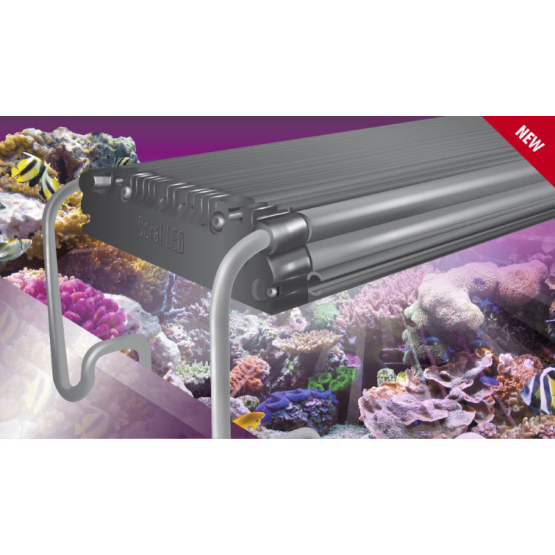 Pantalla Coral LED PRO II