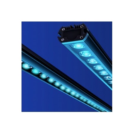 REEF FLARE BAR S