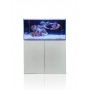 copy of BLAU SET SUPER REEF 92X60X130