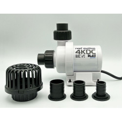 BOMB BLAU REEF MOTION KDC 8.0