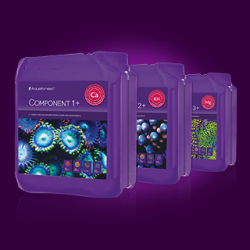 AF COMPONENT 1+ 2+ 3+ (3 X 5 LITERS)