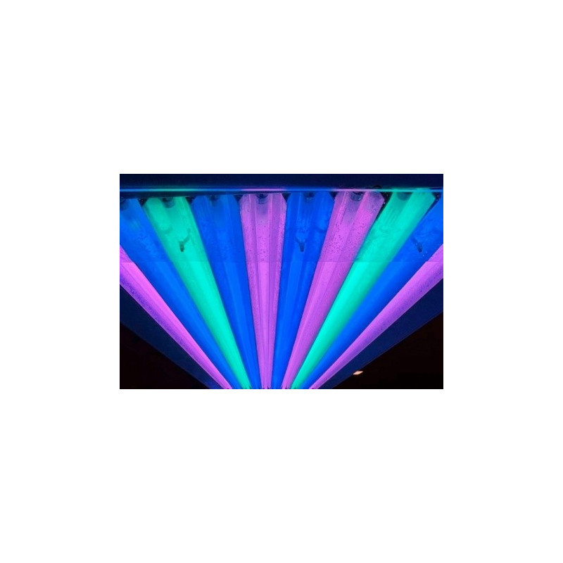 T5 Gran coral Light Purple 54W