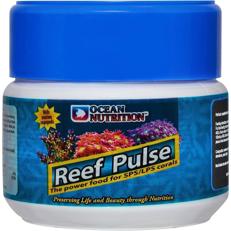 REEF PULSE 60 GR