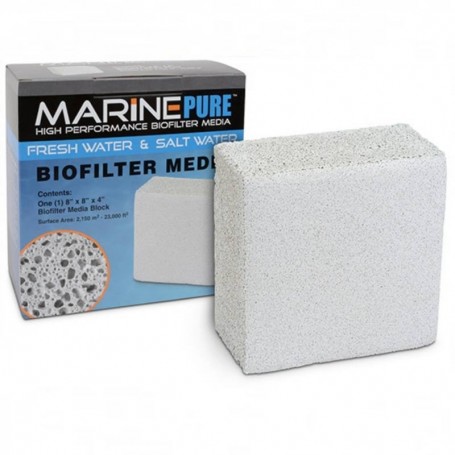 MARINE PURE BLOQUE 20 X 20 X 10