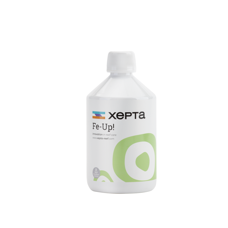 XEPTA Fe-UP! 500ml