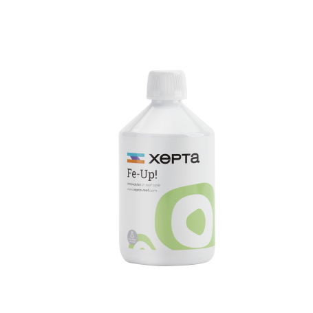 XEPTA Fe-UP! 500ml