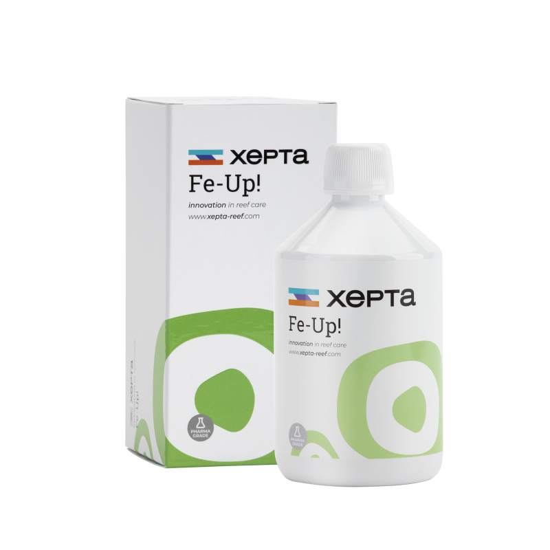 XEPTA Fe-UP! 500ml