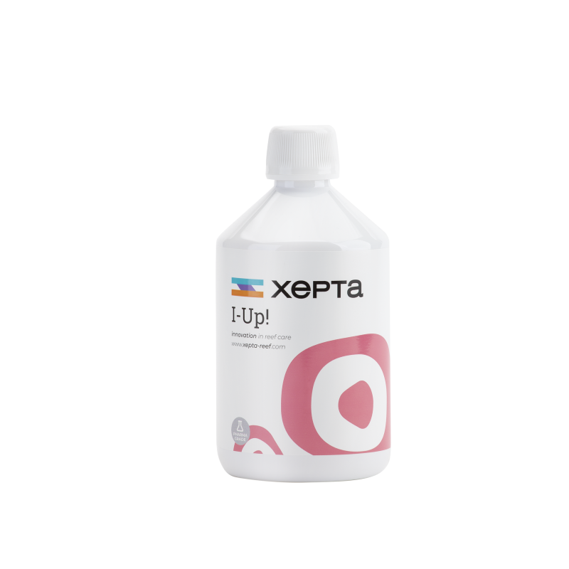 XEPTA I-UP! 500ml