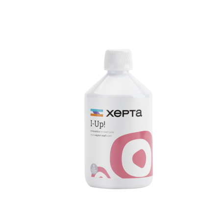 XEPTA I-UP! 500ml