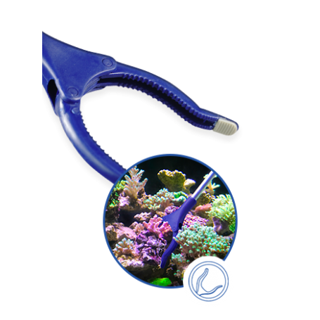 copy of MAXSPECT, CORAL GRIPPER 60 CM