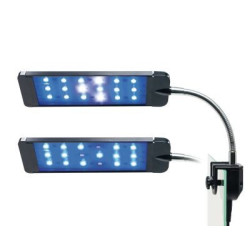 NANO CORAL LED LAMP