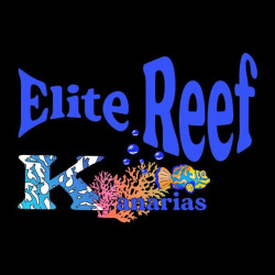 LIVE ROTIFER ERK (500 ML)