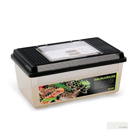 EXO TERRA Desert Den Fauna Box Medium 36 x 21 x 13cm