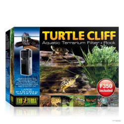CLIFF DE TORTUGA