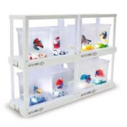 KIT BETA WORLD EXPANSION