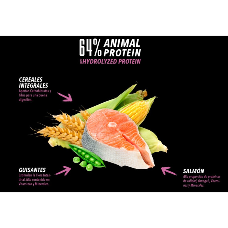 Atlantic pet receta salmón fresco 3Kg-15Kg