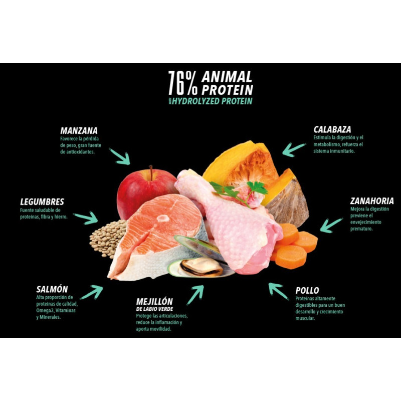 Atlantic pet recipe cat adult chicken & salmon 2Kg