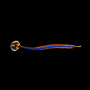 DORYRHAMPHUS EXCISUS
