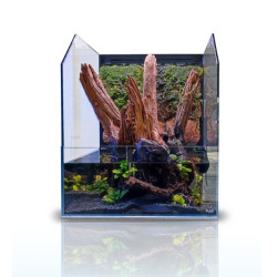 PALUDARIUM BLAU BLACK FOREST 45