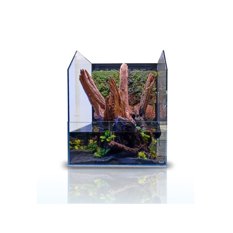 PALUDARIUM BLAU BLACK FOREST 45