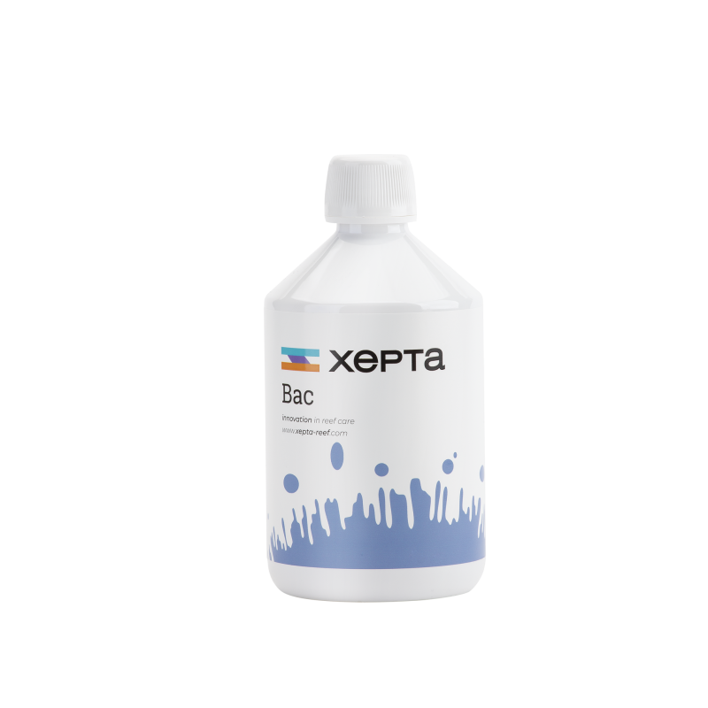 XEPTA Bac 500ml