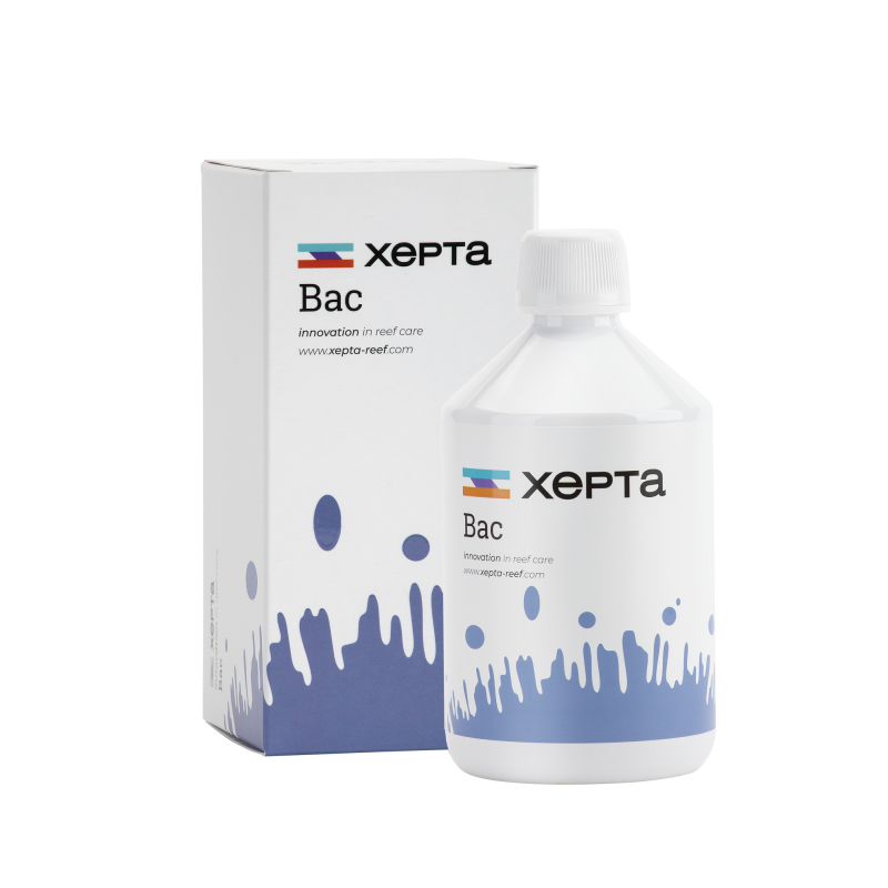 XEPTA Bac 500ml