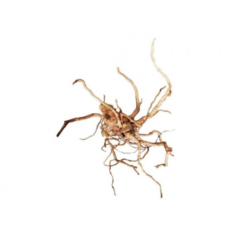 BONSAQUA SPIDER  WOOD (POR KILO)