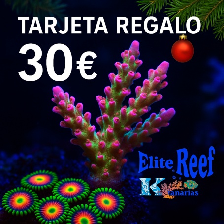 TARJETA REGALO ELITE REEF KANARIAS 30€