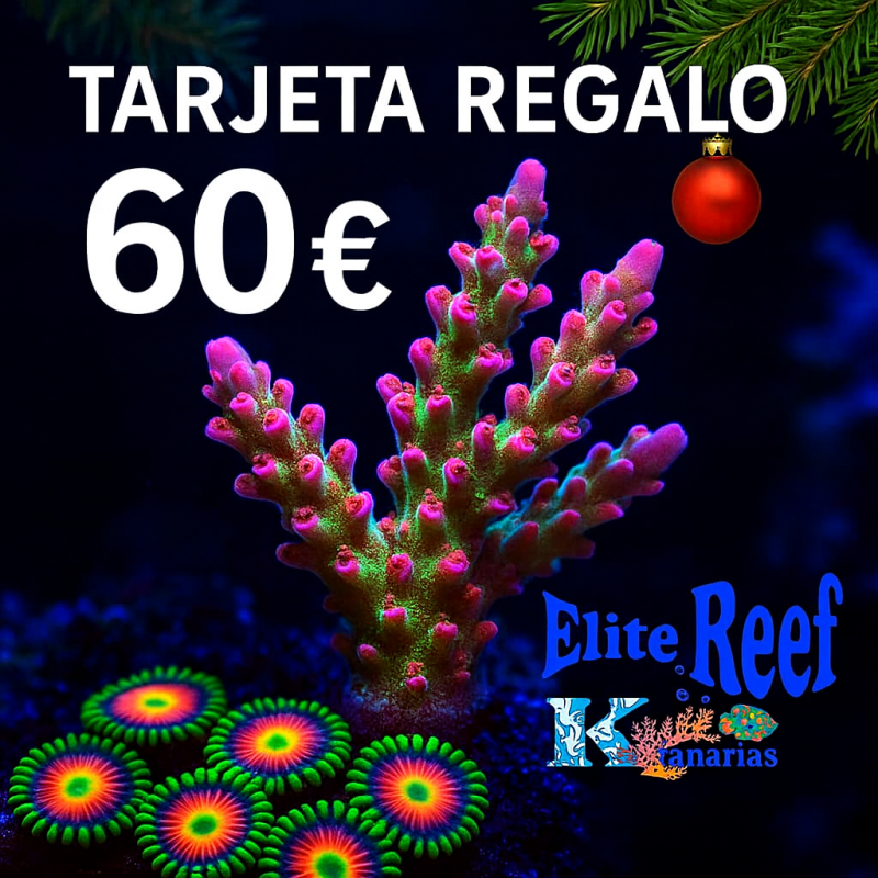 TARJETA REGALO ELITE REEF KANARIAS 60€
