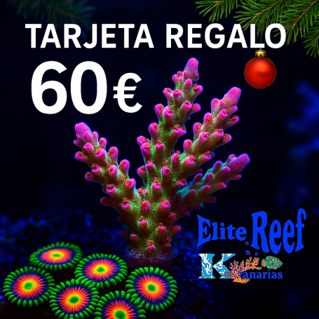TARJETA REGALO ELITE REEF KANARIAS 60€