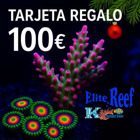 TARJETA REGALO ELITE REEF KANARIAS 100€