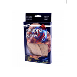 Fritz Catappa Leaves