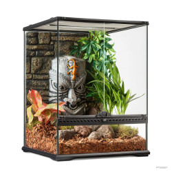 Terrario Tiki Exoterra