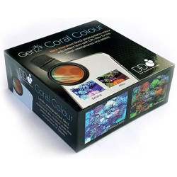 Coral Color Lens 2ND Generation D-D