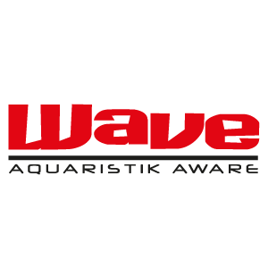 wave
